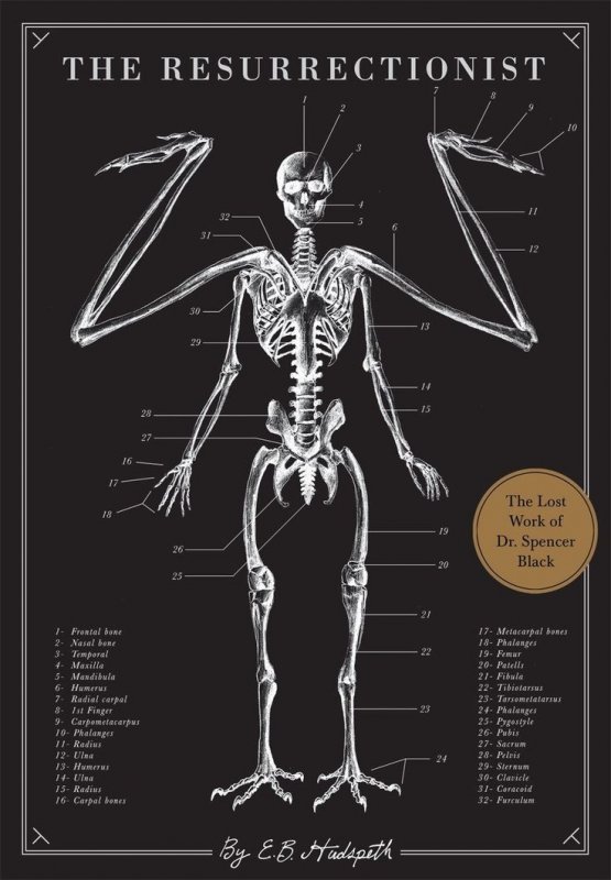 رستاخیز The Resurrectionist