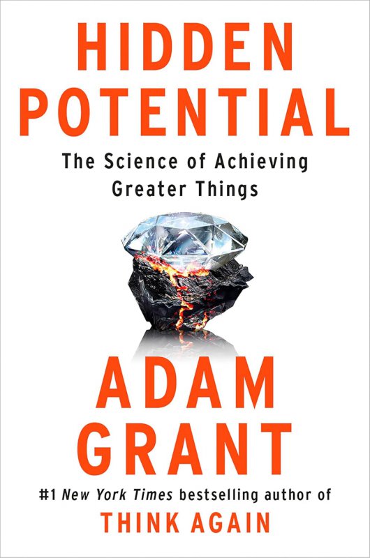 پتانسیل پنهان Hidden Potential
