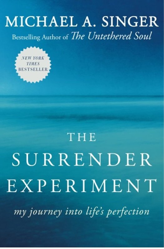 آزمایش تسلیم The Surrender Experiment