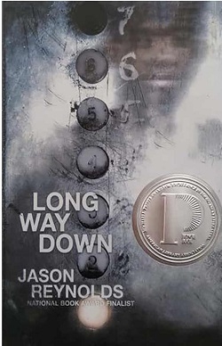 راه طولانی به پایین Long Way Down