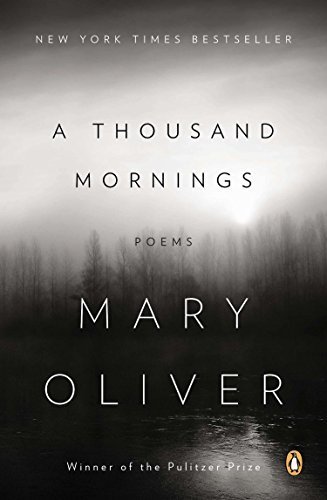 شعر هزار صبح A Thousand Mornings Poems