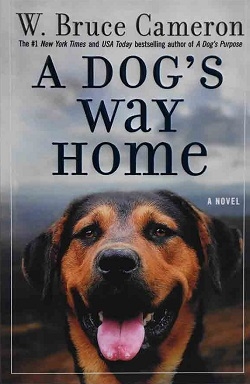 مسیر بازگشت یک سگ به خانه A Dogs Way Home