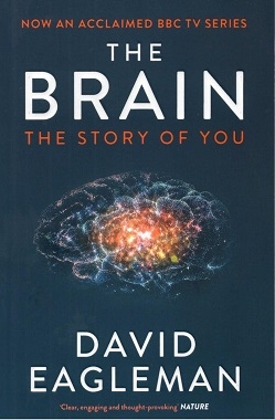 مغز The Brain