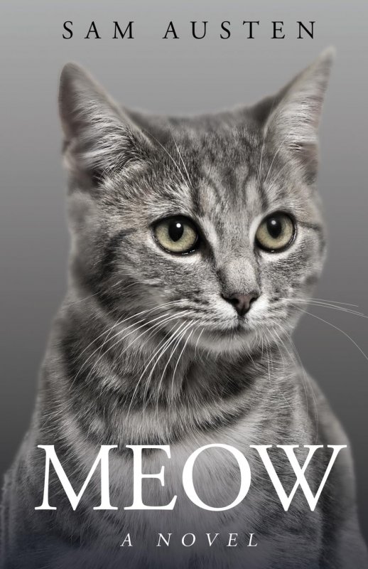 میو Meow: A Novel
