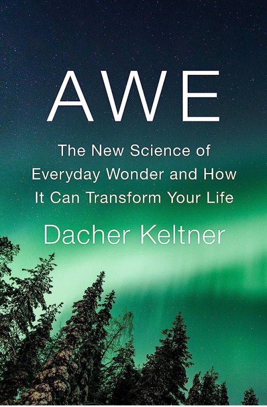 هیبت Awe The New Science of Everyday Wonder and How It Can Transform Your Life