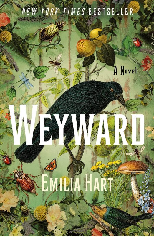 ویوارد Weyward