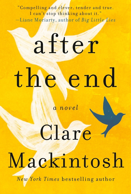 پس از پایان after the end clare mackintosh
