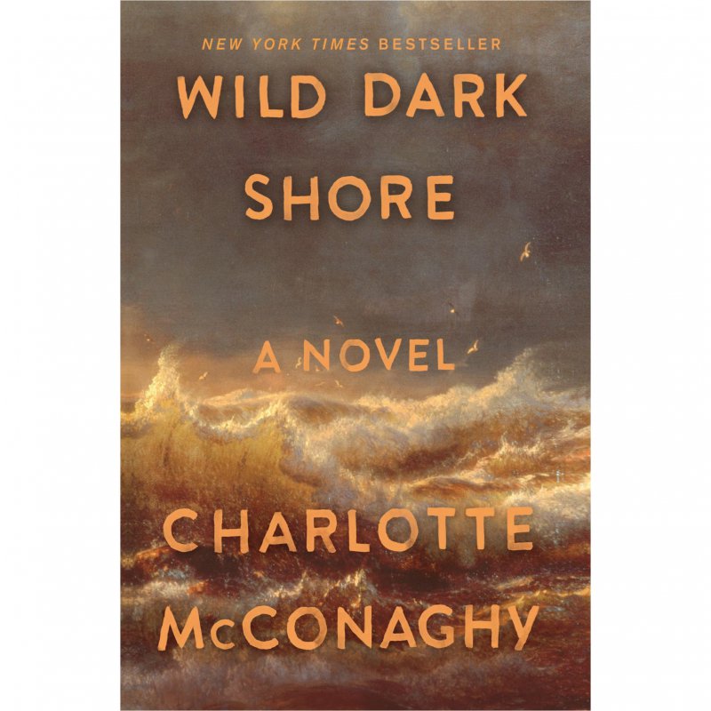ساحل تاریک وحشی Wild Dark Shore