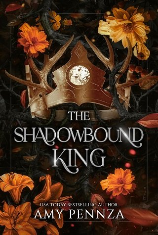 پادشاه سایه The Shadowbound King