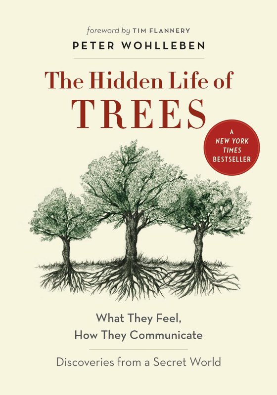زندگی پنهان درختان by Peter Wohlleben-The Hidden Life of Trees